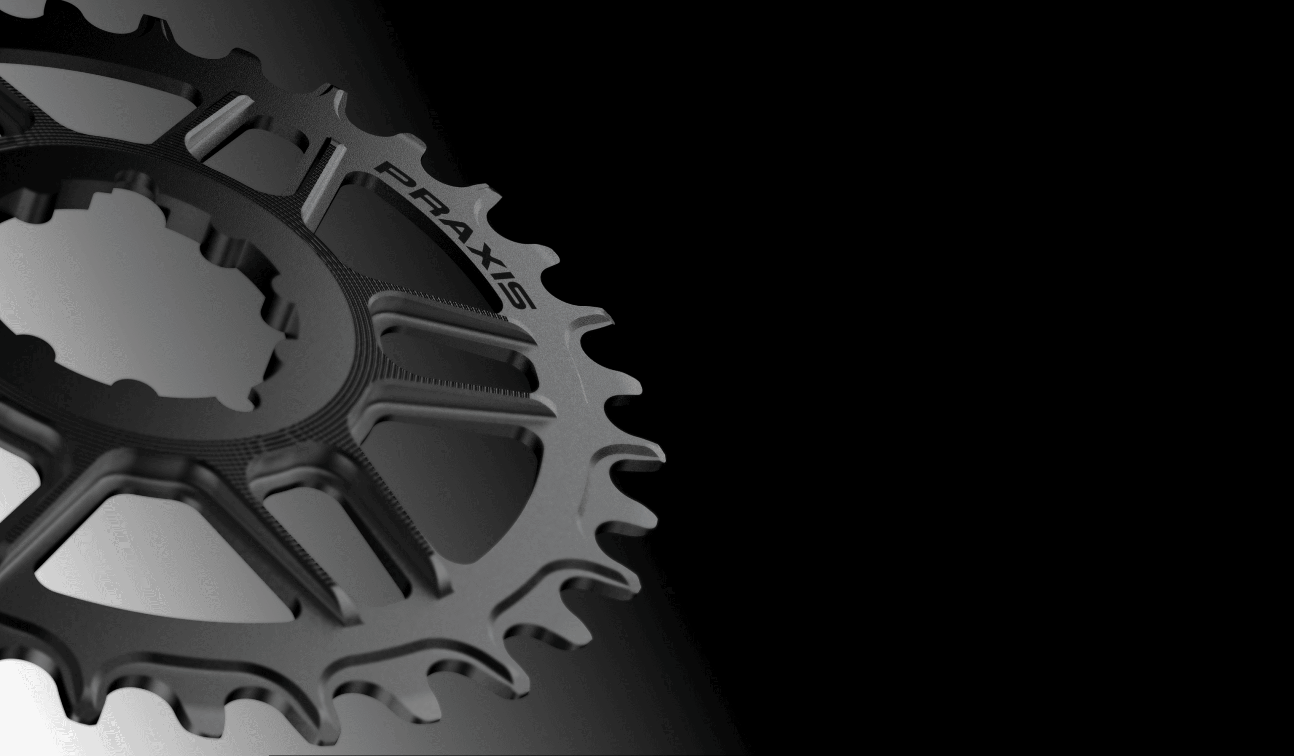 MTN Chainrings