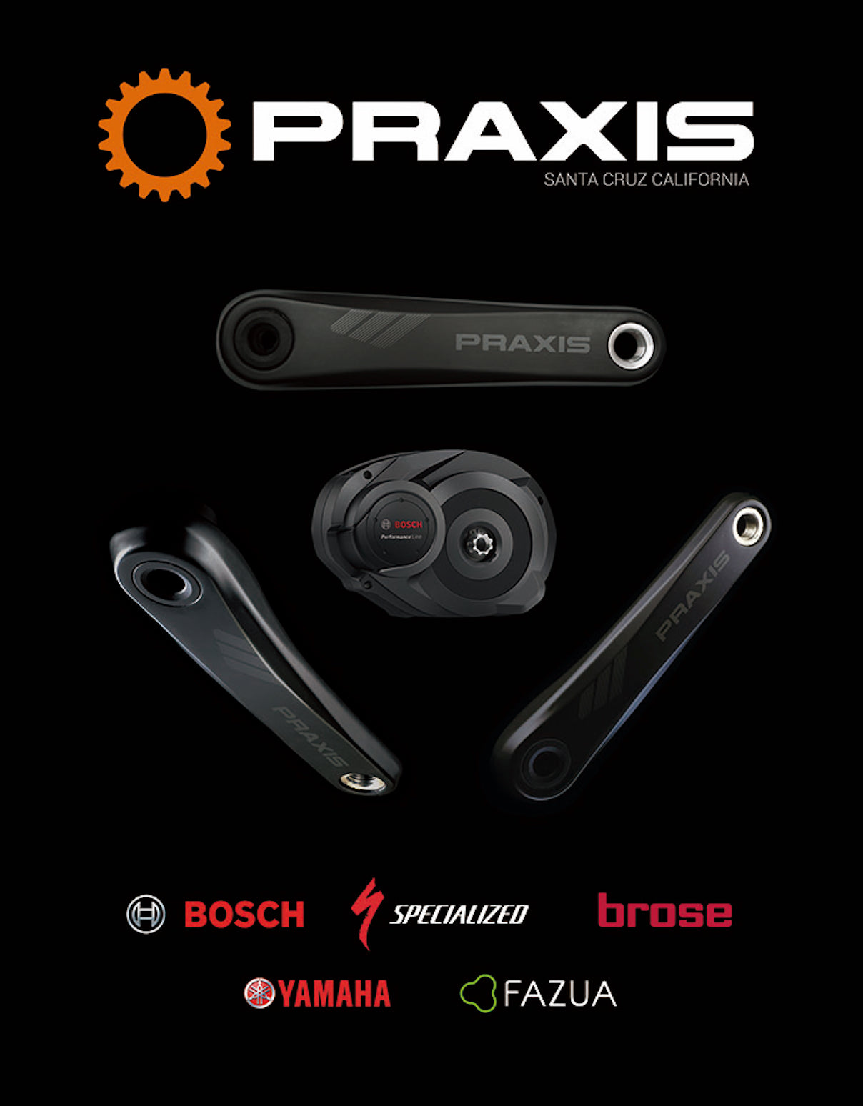 Praxis eCRANK -Type1 (Bosch/Yam/Giant)
