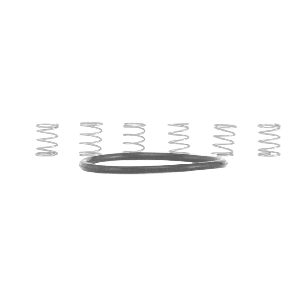 I9 Torch MTN Pawl Spring Kit