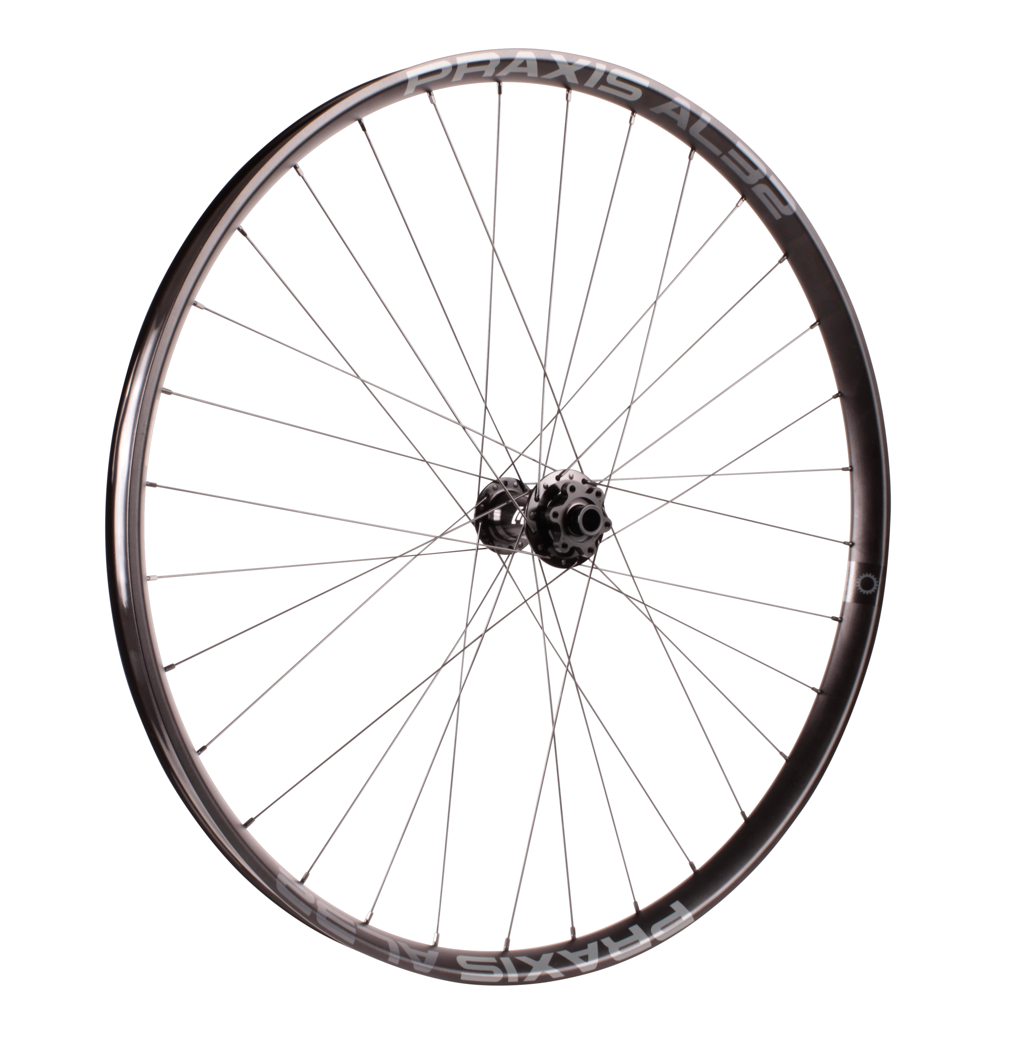 1/1 Wheelset w/PRAXIS AL32 Alloy 29"
