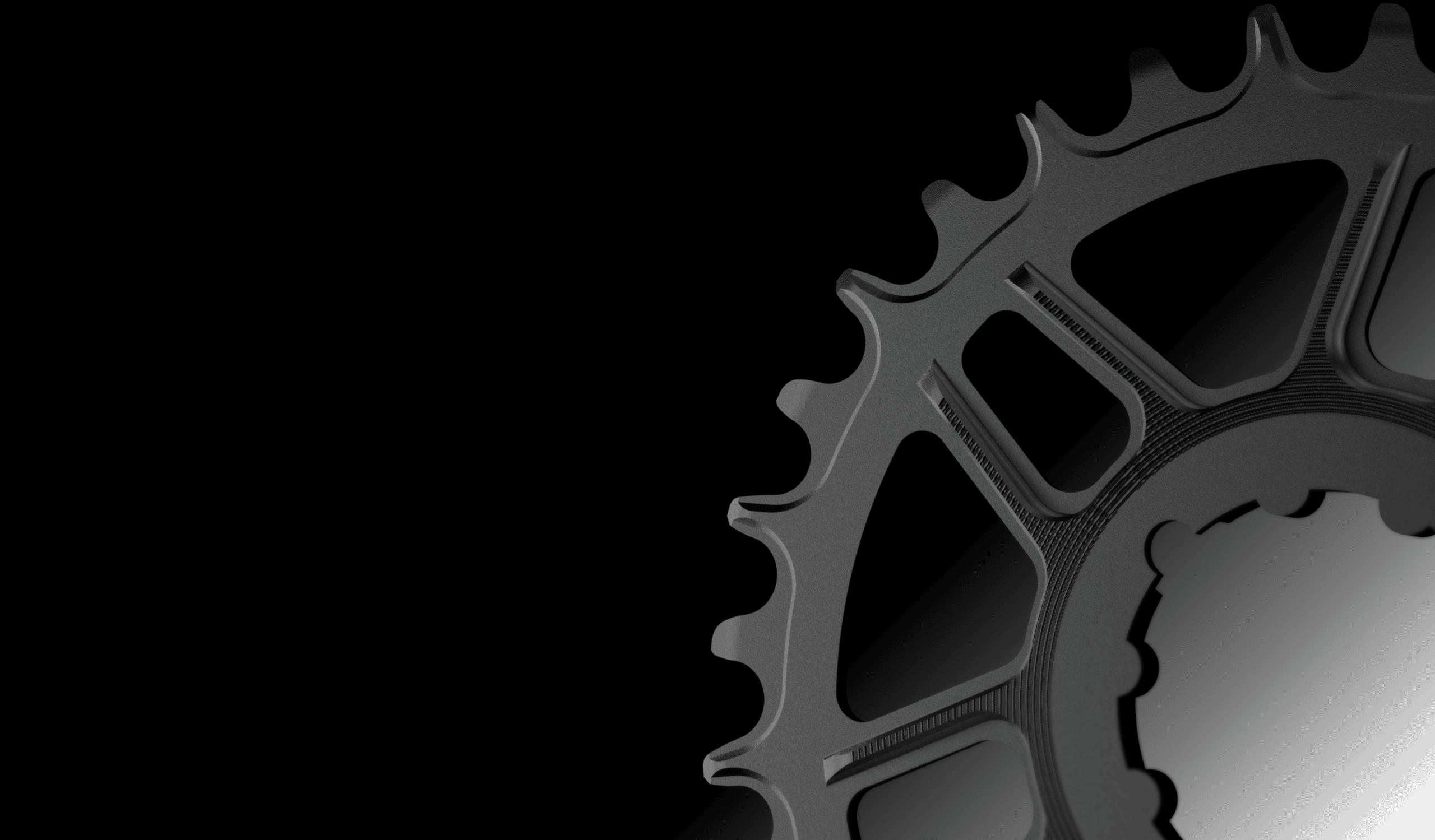Praxis MTN Direct Mount 1x Chainring (wide/narrow)