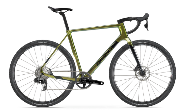 Basso Palta Frameset( all colours)